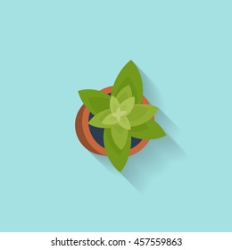House or office plant in a flat style. Decoration. Vector illustration.