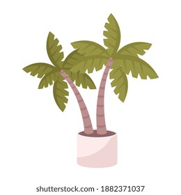 House palm in white pot flat vector illustration