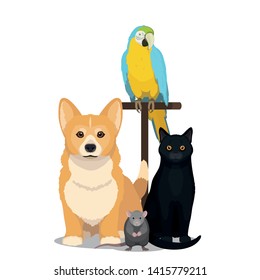 House pets vector illustration. Cat, dog, parrot and mouse isolated on white, domesticated animal.