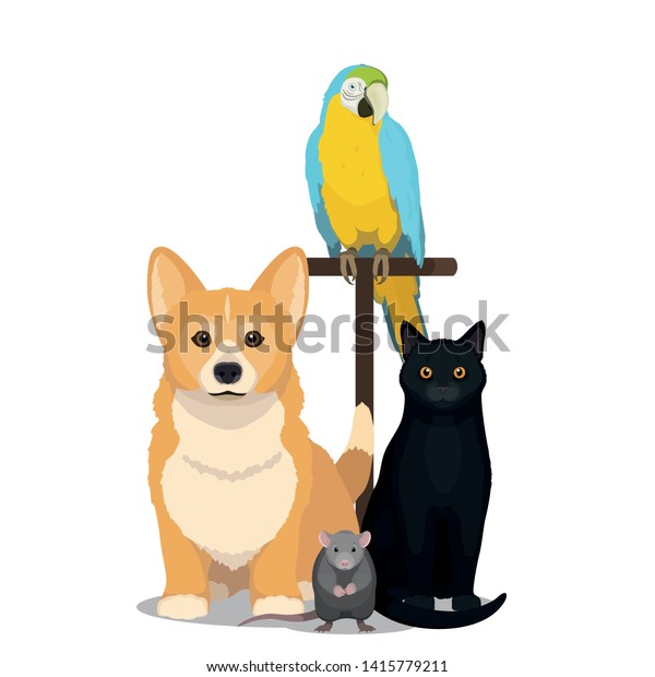 animal house pets