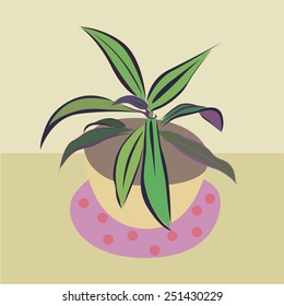 house plant