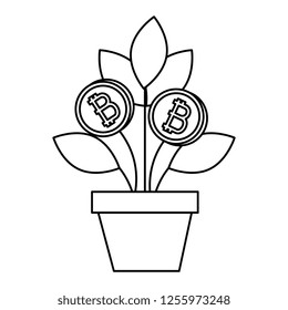 house plant with bitcoin money