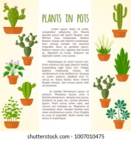 House plant and cactus vector brochure page template. Nature cactus garden, banner template with botanical blossom cacti illustration