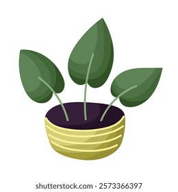 A house plant in a cartoon style. Vector image of potted plant isolated on white background