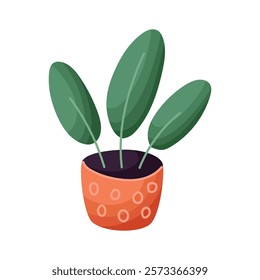 A house plant in a cartoon style. Vector image of potted plant isolated on white background