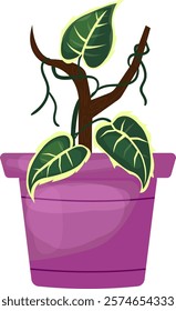 House Plant in Ceramic Pot. Trendy potted plants for home, office, store. Hand drawn vector illustration isolated on transparent background