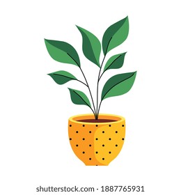 house plant in ceramic pot yellow color dotted vector illustration design
