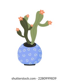 House plant in clay pot. Urban jungle. Potted green cactus in stylish pot. Home succulent in flower pot.