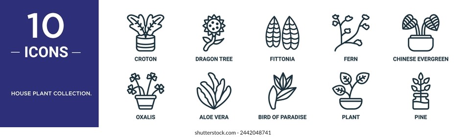 house plant collection. outline icon set includes thin line croton, dragon tree, fittonia, fern, chinese evergreen, oxalis, aloe vera icons for report, presentation, diagram, web design