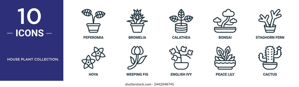 house plant collection. outline icon set includes thin line peperomia, bromelia, calathea, bonsai, staghorn fern, hoya, weeping fig icons for report, presentation, diagram, web design