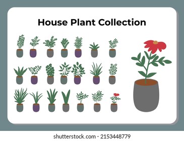 Ilustración de vectores de colección de plantas de vivienda