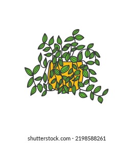 House plant colorful doodle illustration in vector. House plant colorful icon. Pot plant colorful doodle illustration