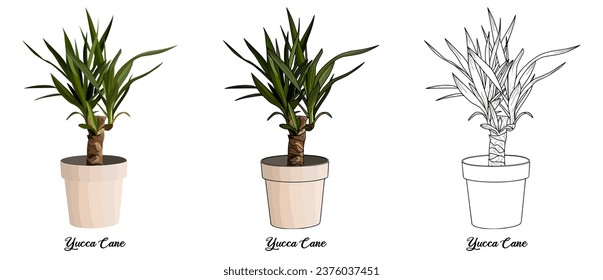 House plant coloring book vector art hand drawn illustration