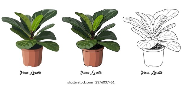 House plant coloring book vector art hand drawn illustration