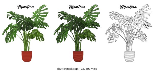 House plant coloring book vector art hand drawn illustration