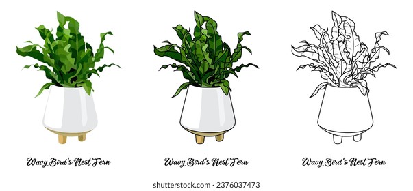 House plant coloring book vector art hand drawn illustration