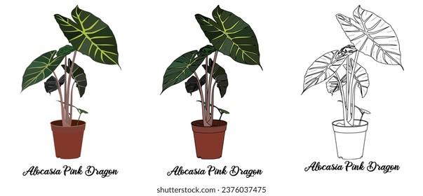 House plant coloring book vector art hand drawn illustration