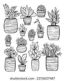 House plant coloring book vector art hand drawn illustration