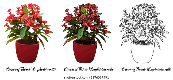 House plant coloring book vector art hand drawn illustration