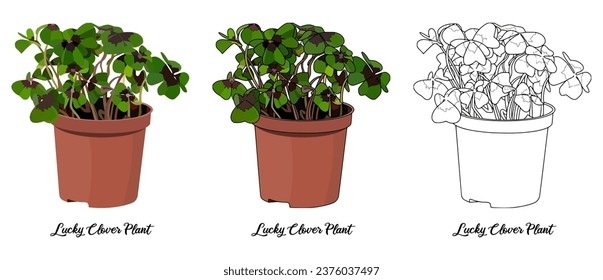 House plant coloring book vector art hand drawn illustration