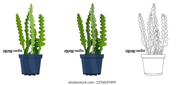 House plant coloring book vector art hand drawn illustration