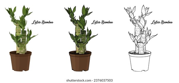 House plant coloring book vector art hand drawn illustration