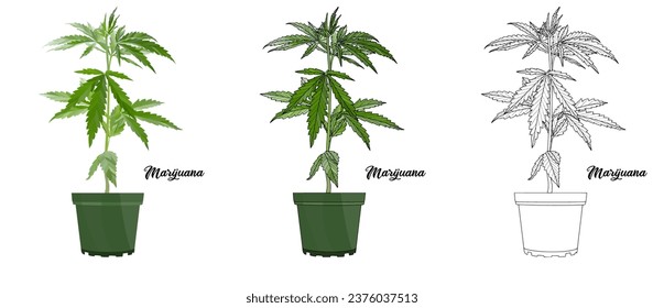 Libro de coloración de plantas de la casa ilustraciones de arte vectorial dibujadas a mano