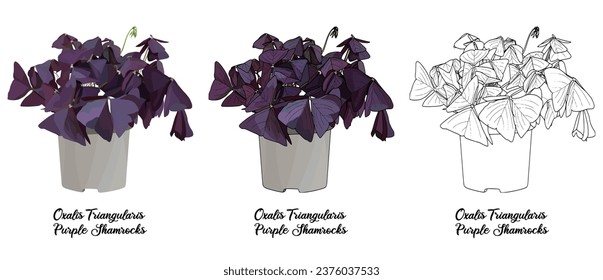 House plant coloring book vector art hand drawn illustration