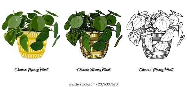 House plant coloring book vector art hand drawn illustration