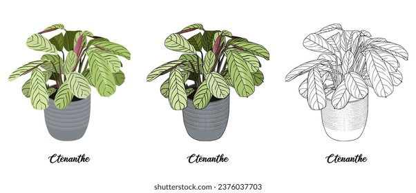 House plant coloring book vector art hand drawn illustration
