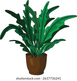 House Plant Decor Idea Vector