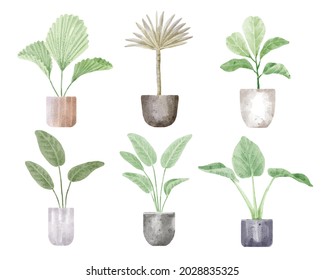 Planta de la casa para la colección decorativa en la pintura acuarela de la olla. Conjunto de ilustraciones de vectores de plantas interiores y exteriores, aisladas en fondo blanco