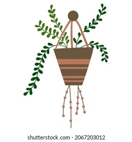 House plant design. Vector illustration.