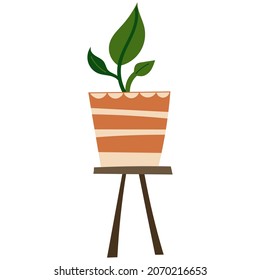 House plant design. Vector illustration.