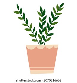 House plant design. Vector illustration.