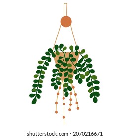 House plant design. Vector illustration.