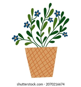 House plant design. Vector illustration.