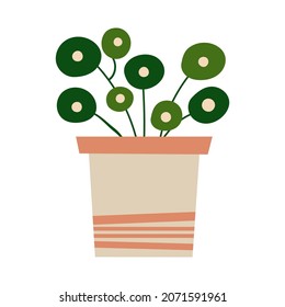 House plant design. Vector illustration.