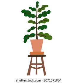 House plant design. Vector illustration.