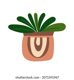 House plant design. Vector illustration.