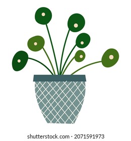 House plant design. Vector illustration.