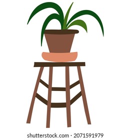 House plant design. Vector illustration.