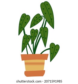 House plant design. Vector illustration.