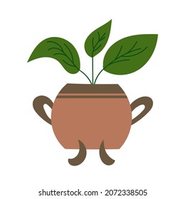 House plant design. Vector illustration.