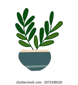 House plant design. Vector illustration.