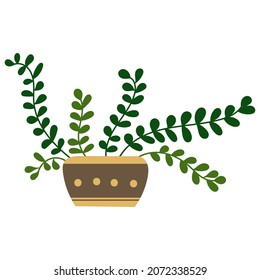 House plant design. Vector illustration.