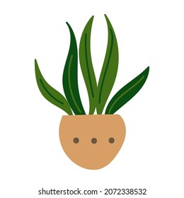 House plant design. Vector illustration.