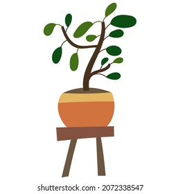 House plant design. Vector illustration.