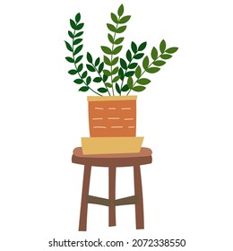 House plant design. Vector illustration.