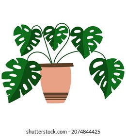 House plant design. Vector illustration.